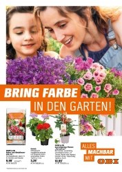 Angebot Obi