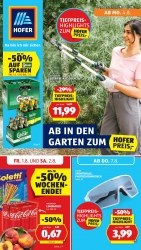 Angebot HOFER