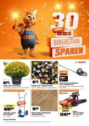 Angebot Obi