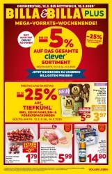 Angebote Billa Saalbach