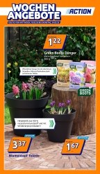 Angebote Action Steyr