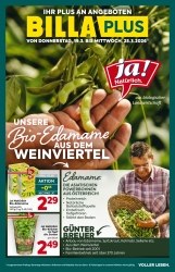 Angebote Billa Plus Steyr