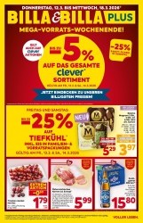 Angebote Billa Oberpullendorf