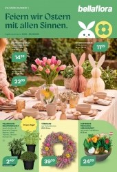 Angebote Bellaflora Leonding
