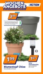 Angebote Action Eisenstadt