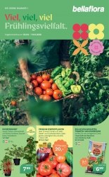 Angebote Bellaflora Zwettl-Niederösterreich