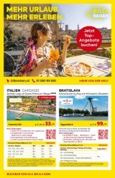 Angebote Billa Brandstatt