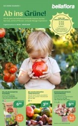 Angebote Bellaflora Hollabrunn