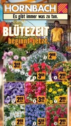 Angebote Hornbach Sankt Andrä