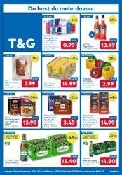 Angebote T&G Schladming